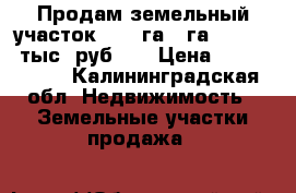 Продам земельный участок 15, 7га (1га.- 80 000 тыс. руб )  › Цена ­ 1 256 000 - Калининградская обл. Недвижимость » Земельные участки продажа   